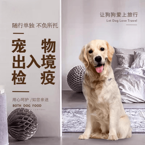 西城区宠物托运到哥伦比亚猫狗宠物入境规定和