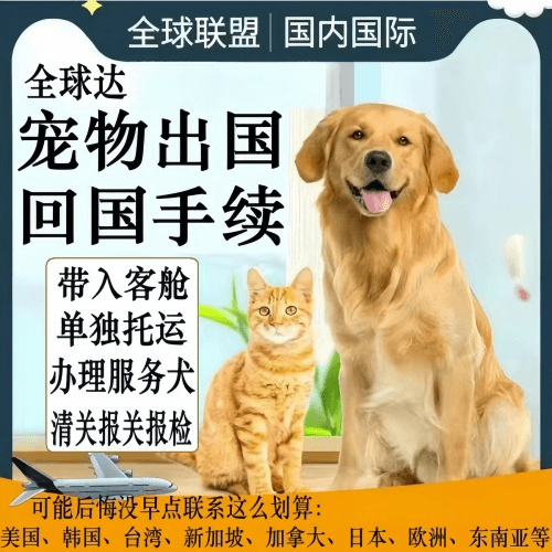 西城区宠物托运到柬埔寨宠物入境规定和要求