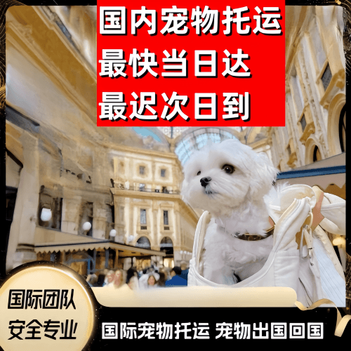 西城区到澳大利亚（澳洲）宠物入境规定和要求