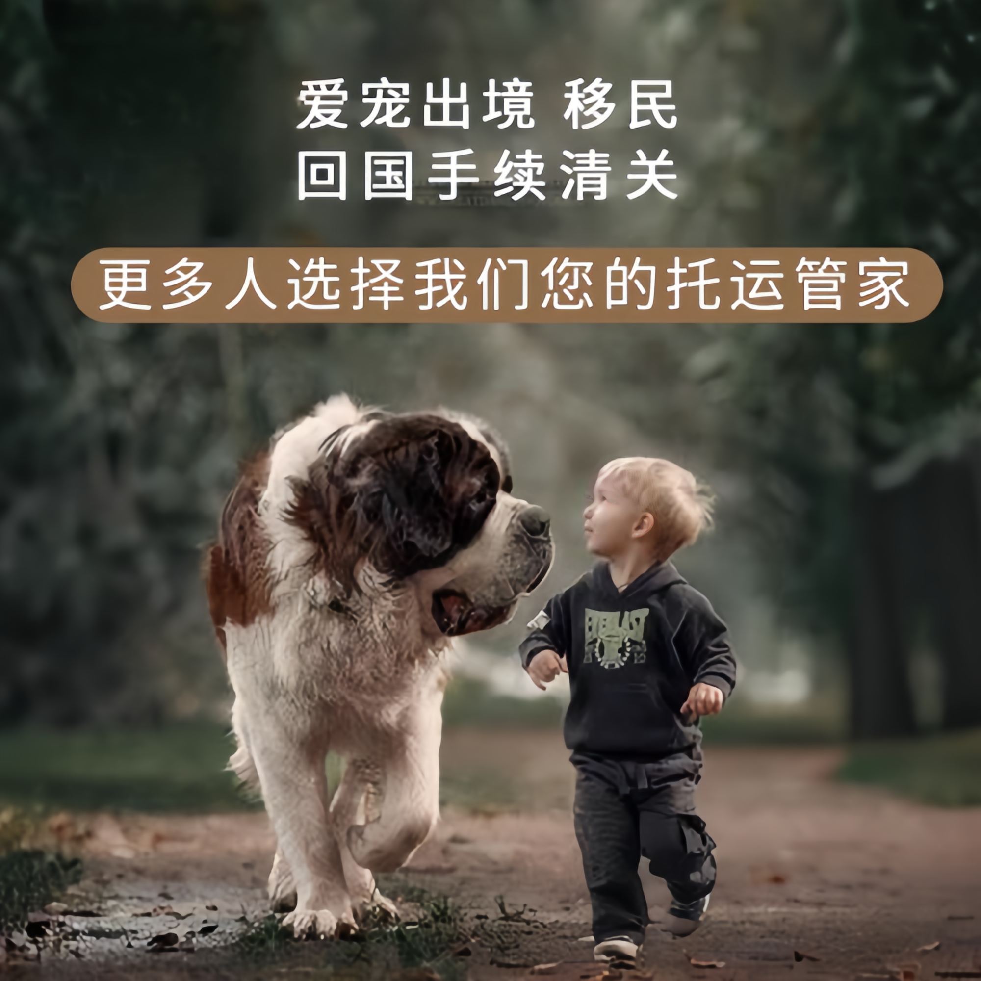 满财西城区宠物全球达宠物托运在遵守入境目的地政策的条件