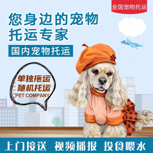 满财西城区宠物全球达宠物托运作为专业的宠物运输代理机构